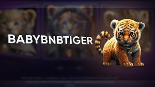 BabyBNBTiger — Overview of a promising token // How to buy ??? Waiting for x100???