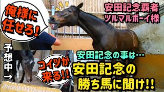 安田記念を勝ったことがある馬なら安田記念を当てることが出来ますよね！？！？(願望)【ツルマルボーイ様のシモべ】