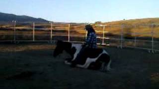 Natural horsemanship with the paint horse Ombre.