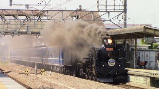 【2024年8月4日】JR東日本　SLぐんまみなかみ【C61 20赤プレート】【JR貨物2071レ】【DL仕業＆留置】【熱中症注意】