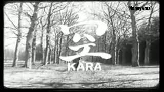 Teruo Kono - Wado Hanshi