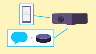 Amazon Alexa: Set Up Your Echo Link Amp