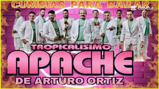 Cumbias Para Bailar 🌹💃❤️ Tropicalisimo Apache Mix 2024 🎁