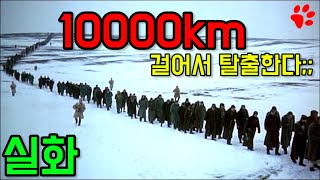 1만km 넘게 걸어서 탈출한 전쟁 포로! [실화]