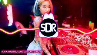 ភ្លេងចូលឆ្នាំចិន Best Remix Party 2018 (ARS Feat Meng Kheang)