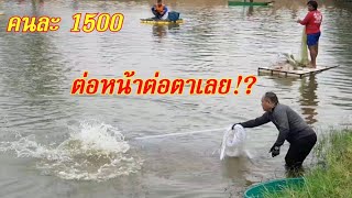 #ลงแหบ่อหารคนละ 1,500 บึก 32 ตัวแบบนี้ลุ้นกันมันส์!?