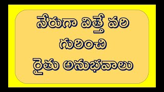 నేరుగా విత్తే వరి గురించి రైతు అనుభవాలు|| Experiences of farmer on Direct Sowing of Paddy