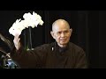 signlessness a cloud never dies thich nhat hanh short teaching video