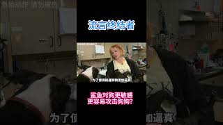 鲨鱼喜欢吃狗肉，对狗狗情有独钟？ #科学 #知识探索 #科普