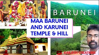 Maa Barunei and Karunei Temple || Barunei Hill  Odisha Tourism Place Khordha