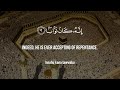 surat an nasr the divine support mishary rashid alafasy مشاري بن راشد العفاسي سورة النصر