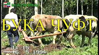 ҳашари ҷуфт ( PLOWING WITH BULLS  )дар қишлоқи Шур( ТАВИЛДАРА ) соли 1994