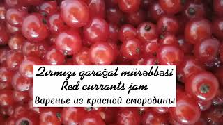 Витаминная бомбочка из красной смородины🍵vitamin bombası qırmızı qarağat mürəbbəsi☕red currants jam