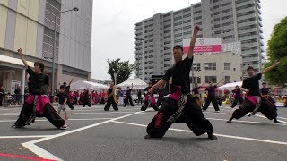 「桜愛ーshiela」一宮七夕祭り鳴子踊り2017 ”♪天邪鬼 聖龍”