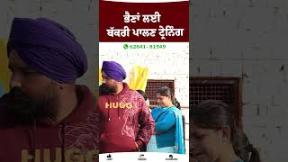 #shorts #reels ਭੈਣਾਂ ਲਈ ਬੱਕਰੀ ਪਾਲਣ ਟ੍ਰੇਨਿੰਗ ! Kang Goat Farm Patiala | Top Goat Farmin #bakrifarm