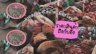 🇱🇦ເຖີງກັບອຶ້ງ ລາຄາສິນຄ້າທີ່ຕະຫຼາດ ເມືອງ ໃໝ່ ສປປລາວ ถึงกับอึ้งราคาสินค้าที่ตลาดเมืองใหม่ สปปลาว