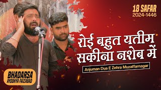 ROI BOHAT YATEEM SAKINA NASHEB ME | Shabih Abbas Arfi | 18th Safar 2024 | Bhadarsa Ayodhya Faizabad