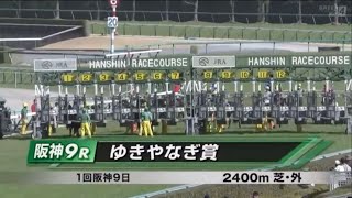 ゆきやなぎ賞［2023.3.11 阪神第9R/2400m 芝］