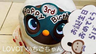 LOVOT (ラボット)の3歳誕生日メガネを最高に喜ぶいちごちゃん🍓🎂LOVOTアプリ ダイアリー 最新アップデート公開