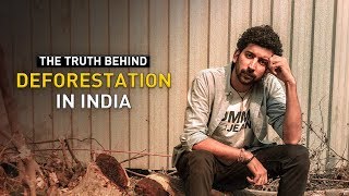 Indiatimes - The Truth Behind Deforestation In India