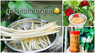 ជ្រក់ក្រអៅឈូកសណ្តែកបណ្តុះ| ក្រអៅឈូកជូរ| Lotus Root \u0026 Sprout Pickles | Yummy Meal.