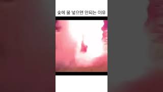 (유머)숯에 물 넣으면 안되는 이유