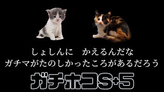 【転がり続けるガチホコS+5】スプラトゥーン初心者でも毎日8時間実況プレイ配信してウデマエXになれた黒ザップのガチホコ！