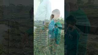 কেমন জীবন #shortsvideo