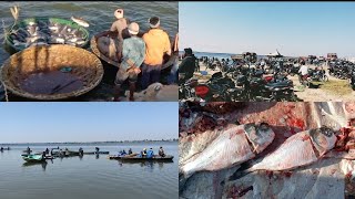 చేపల జాతర || Fishing in our village || Shaligowraram . #gaddalaanilvlogs #india #fishing