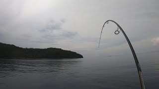 Pulau pari/marak penuh kejutan - Pesisir (Sumatera Barat)