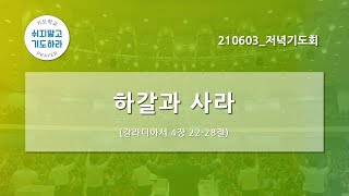 [한빛감리교회] 210603_저녁기도회_하갈과 사라_갈라디아서 4장 22-28절_백용현 담임목사