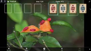FreeCell Game #75 SOLVED Microsoft Solitaire