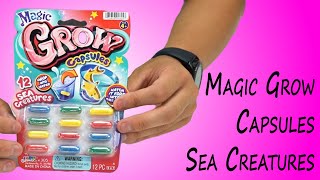 Magic Grow Capsules Sea Creatures