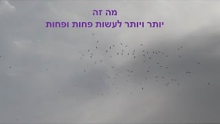 מה זה יותר ויותר לעשות פחות ופחות