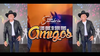 LOS QUE SÍ SON MIS AMIGOS - CÉSAR SANABRIA