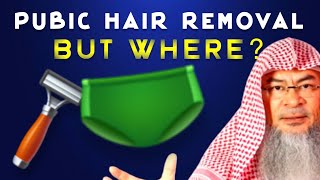 Pubic Hair Removal  - But What Parts? (anus, below navel, etc.)? assim al hakeem JAL