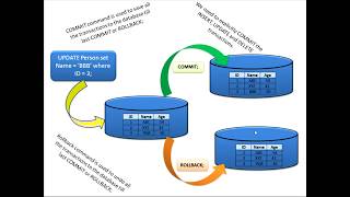 37. SQL : COMMIT & ROLLBACK