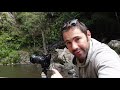 hiking in springbrook national park best day trip from the gold coast van life australia ep 9