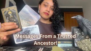 Find Out What Your Ancestor Wants You To Know! Tarot Pick a Card