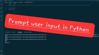 Introduction to Python - Prompt user input