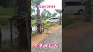 Ep251/3ขายบ้านสวนราคาถูก​มาก,ขา​ยบ้านสวนพร้อม​ที่ดิน,ขายเหมา​ถูก​ๆ​เกือบ​5​ไร่6,500,000​บาท