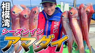 【アマダイ釣り】祝竿頭♪高級魚アマダイ釣り○○で簡単爆釣法‼︎多希志丸【甘鯛釣り】アマダイ釣り方【相模湾】