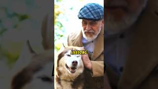 MOST LOYAL Animals That Will MELT Your Heart? #shorts #pets #short #shortvideo #facts #animals