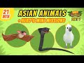 Asian Animals (Part 7/7) - Junior Rangers and Hero's Animals Adventure | Leo the Wildlife Ranger