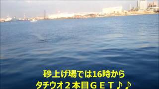 泉大津汐見埠頭　『イワシとタチウオ』リアルタイム　fishingmax