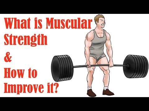 1. What is Muscular Strength and How to Improve It 1. What is Muscular Strength and How to Improve It