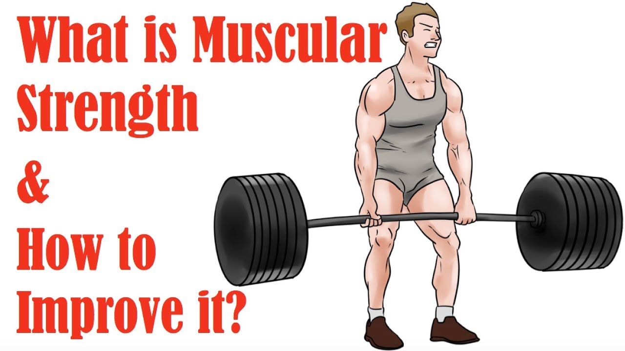 1. What Is Muscular Strength And How To Improve It - YouTube