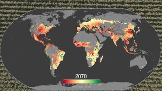 Climate Change Could Affect Global Agriculture Within 10 Years
