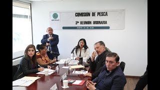 Tercera reunión ordinaria de la Comisión de Pesca.