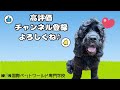 【wanファミリー】wanファミリー大集合！ 動物専門学校トリマー 動物看護師　アクアリウム 動物のお仕事